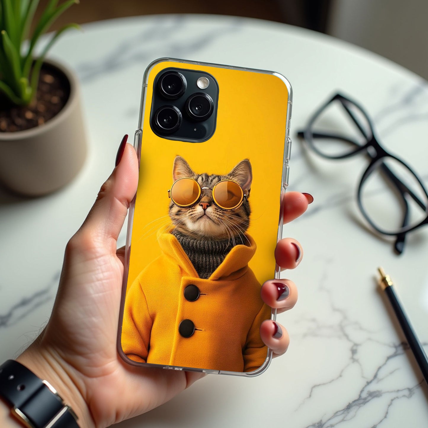 Cool Cat 241