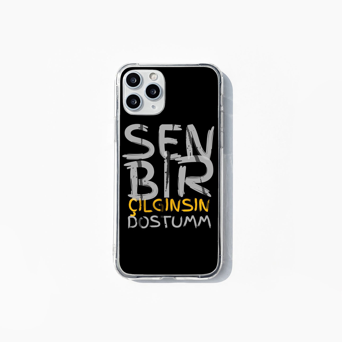 Sen Bir Çılgınsın