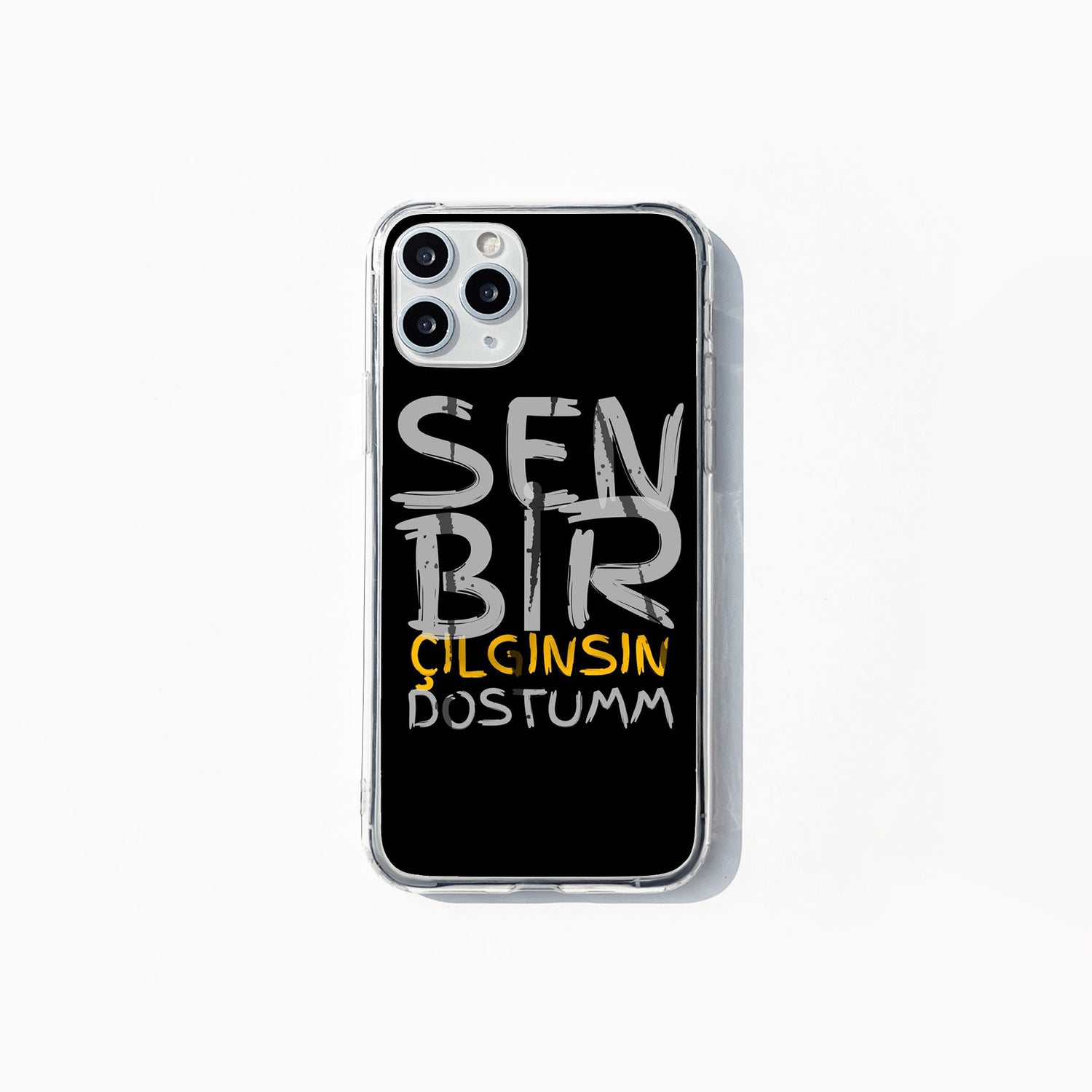 Sen Bir Çılgınsın