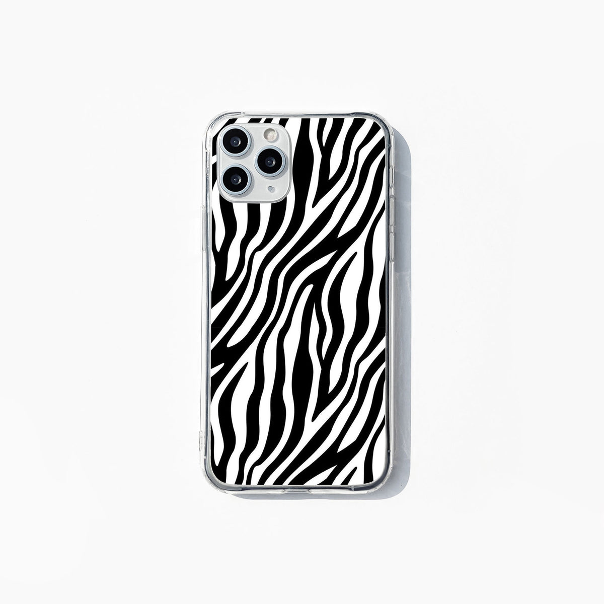 Zebra 001