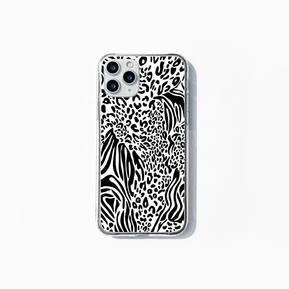 Zebra 002